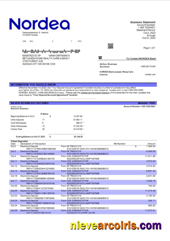 Editable Nordea Bank Enterprise Checking Account Statement Word And PDF Template