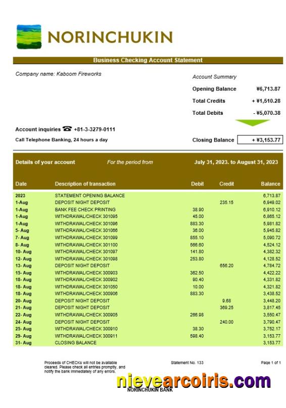 Editable Norinchukin Bank Enterprise Statement Word And PDF Template