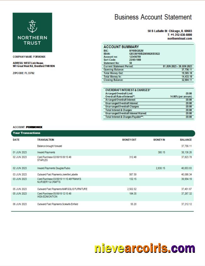 Professional Northern Trust Bank Firm Statement Word And PDF Template