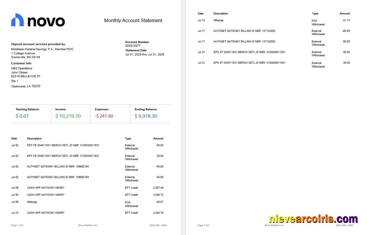 Novo Platform INC Online Business Banking Statement, 2 Pages Sample