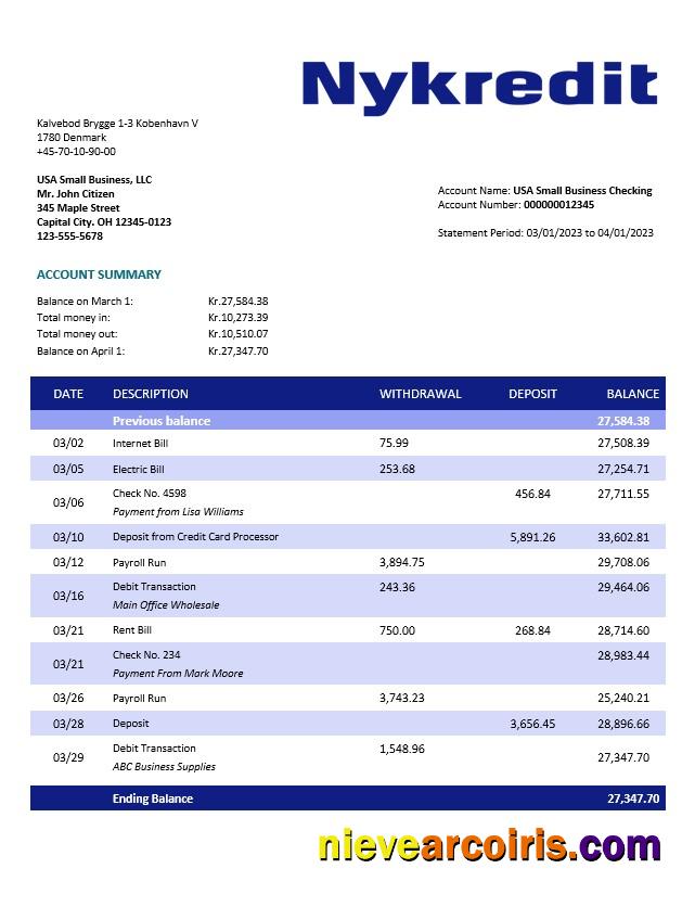 Professional Nykredit Bank Organization Statement Word And PDF Template