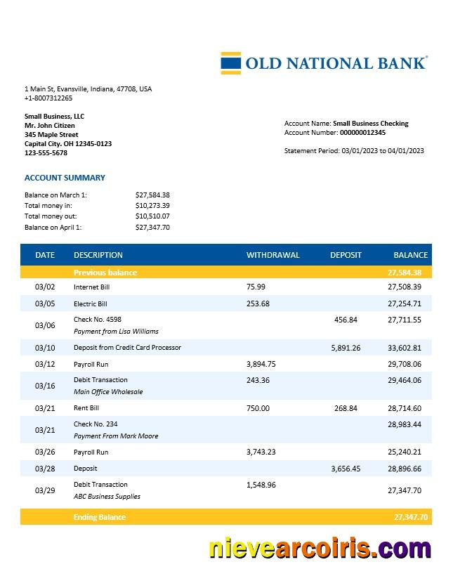 Professional Old National Bank Organization Account Statement Word And PDF Template