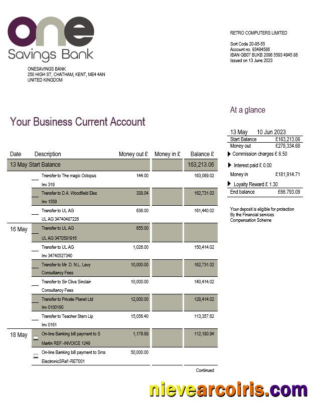 Premium Onesavings Bank Business Checking Account Statement Word And PDF Template