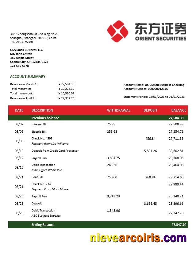 Premium Orient Securities Business Bank Statement Word And PDF Template