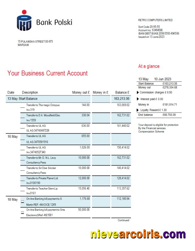Professional PKO Bank Polski Corporate Statement Word And PDF Template