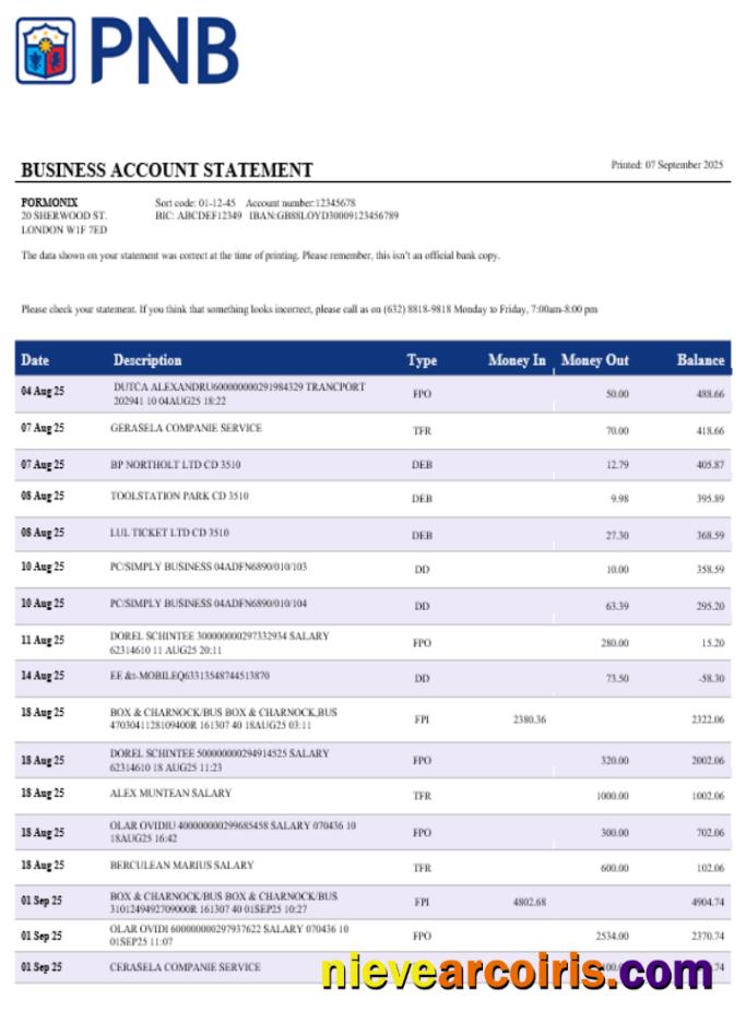 Realistic PNB Bank Business Account Statement Word And PDF Template
