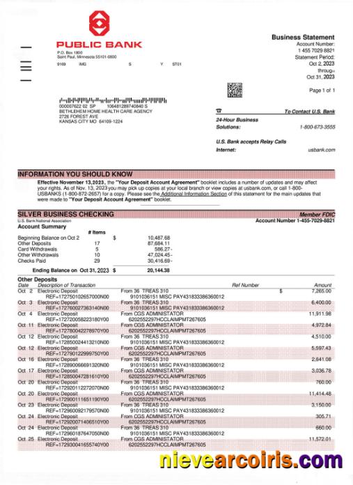 PUBLIC Bank Bank Statement Template