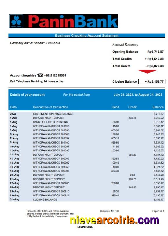 Professional Panin Bank Organization Checking Account Statement Word And PDF Template