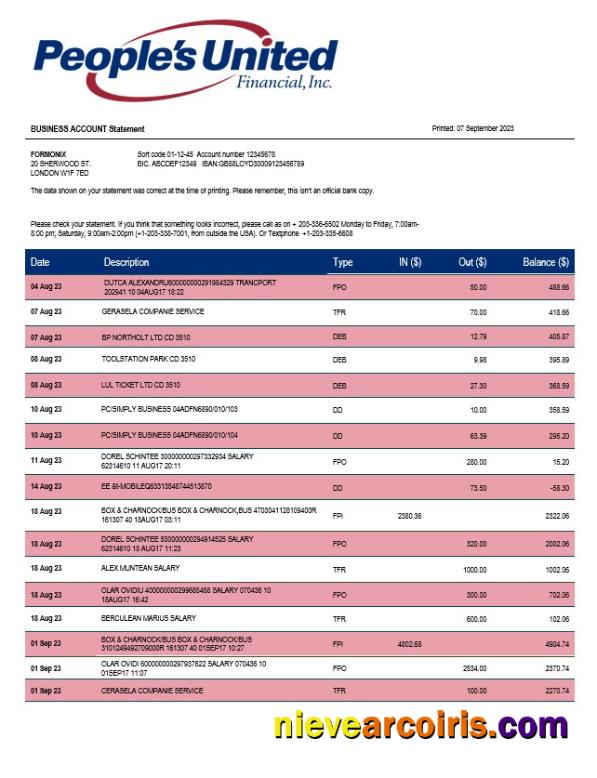Realistic People’s United Bank Business Statement Word And PDF Template
