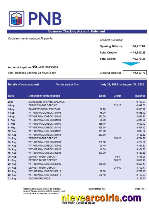 Realistic Philippine National Bank Business Statement Word And PDF Template
