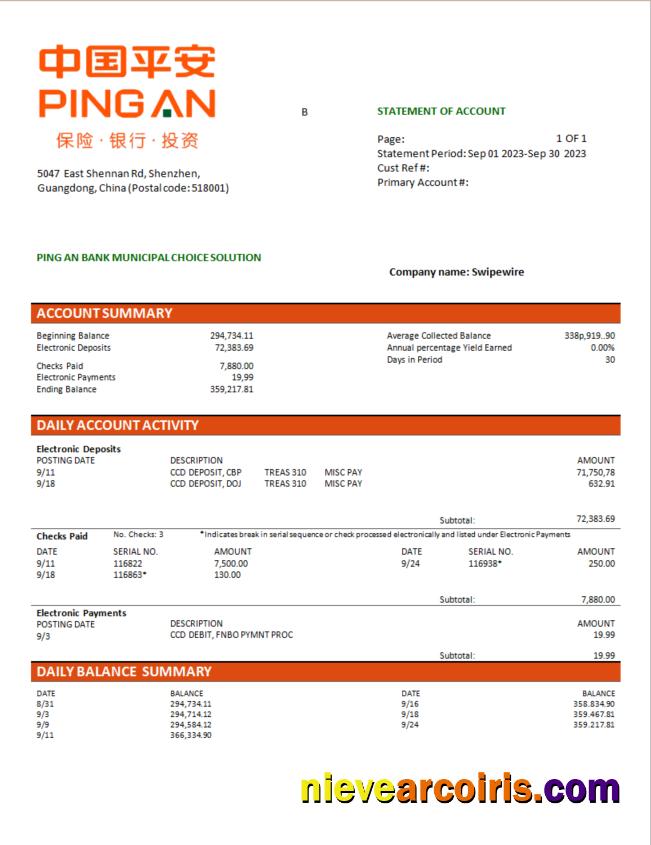 Professional Ping An Bank Firm Checking Account Statement Word And PDF Template