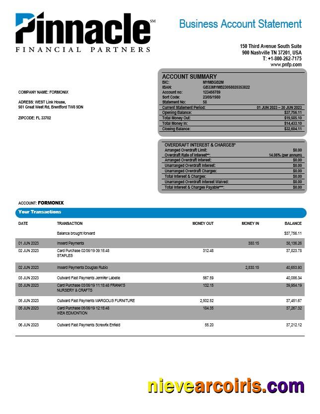 Realistic Pinnacle Financial Bank Firm Account Statement Word And PDF Template