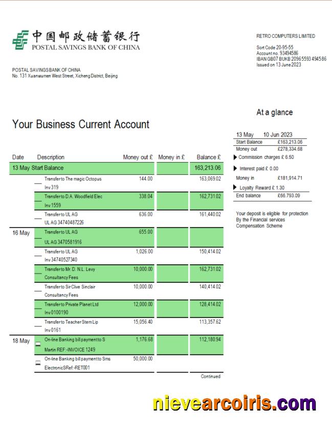 Professional Postal Savings Bank Firm Account Statement Word And PDF Template