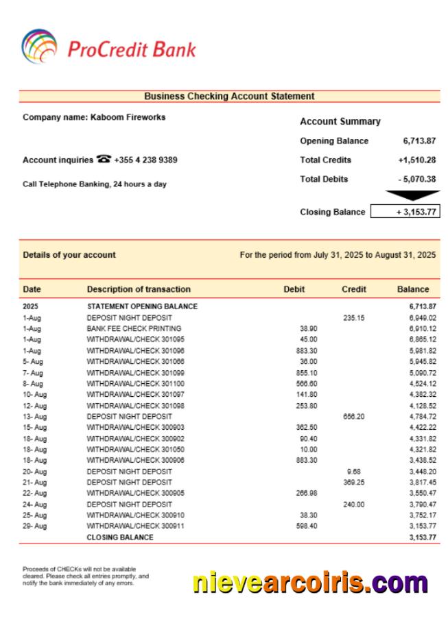 Realistic ProcreditBank Company Checking Account Statement Word And PDF Template