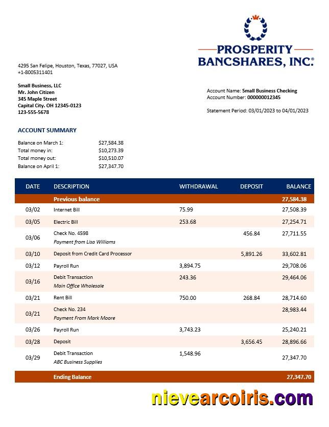 Realistic Prosperity Bancshares Inc Company Checking Account Statement Word And PDF Template