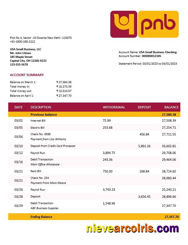 Editable Punjab National Bank Business Statement Word And PDF Template