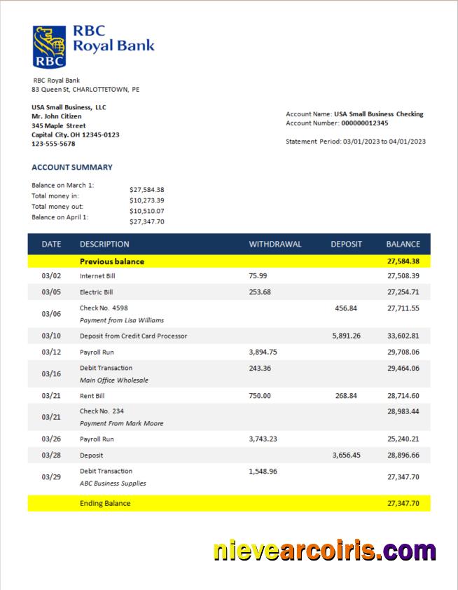 Editable RBC Royal Bank Enterprise Checking Account Statement Word And PDF Template