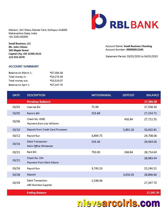 Editable RBL Bank Enterprise Account Statement Word And PDF Template