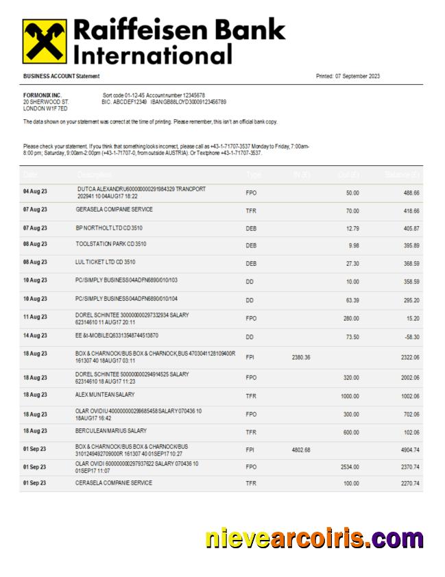 Professional Raiffeisen Bank International Bank International Company Statement Word And PDF Template