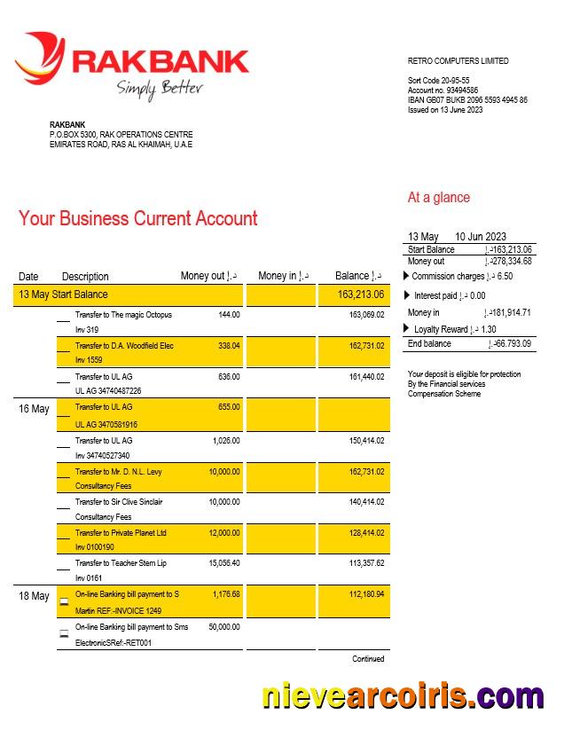 Editable Rakbank Enterprise Account Statement Word And PDF Template