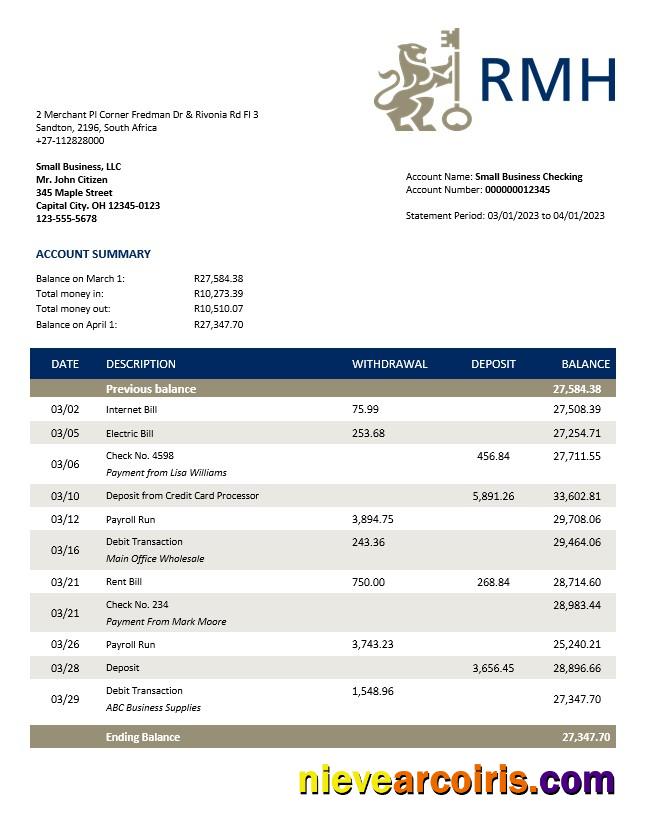 Editable Rand Merchant Bank Enterprise Account Statement Word And PDF Template