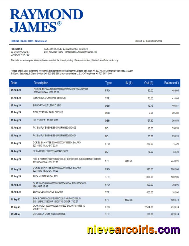 Professional Raymond James Bank Organization Statement Word And PDF Template