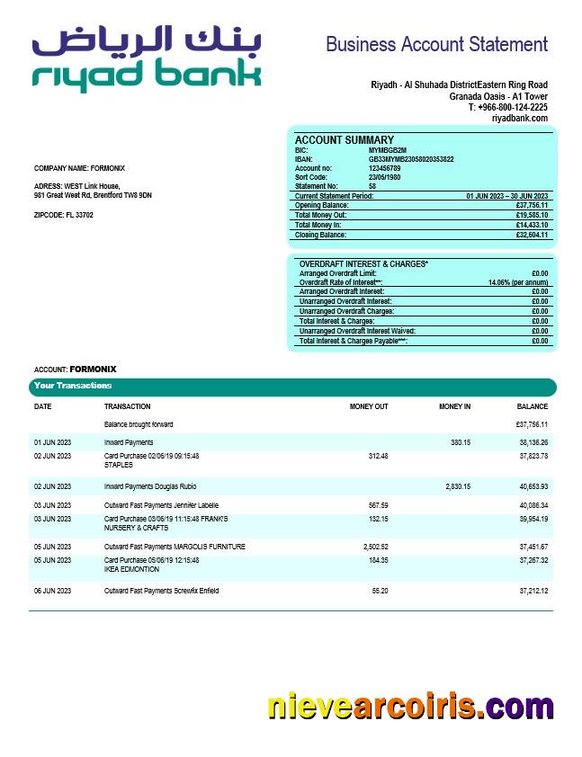 Premium Riyad Bank Enterprise Statement Word And PDF Template