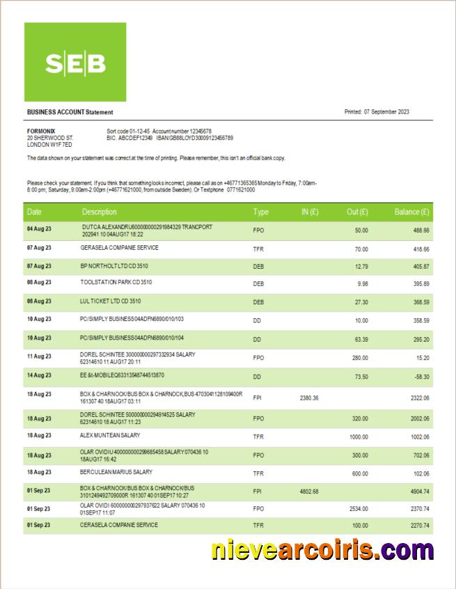 Editable SEB Bank Company Statement Word And PDF Template