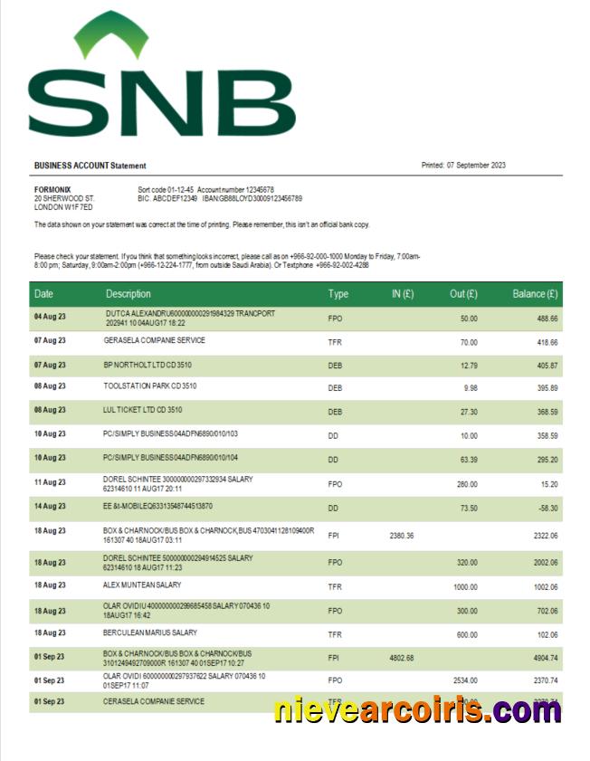 Editable SNB Bank Enterprise Statement Word And PDF Template