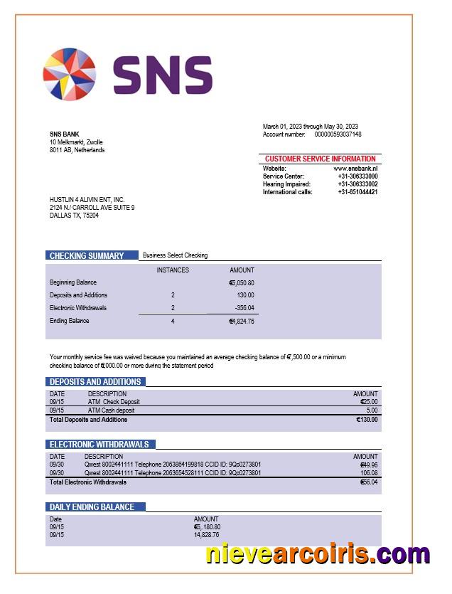 Realistic SNS Bank Enterprise Account Statement Word And PDF Template