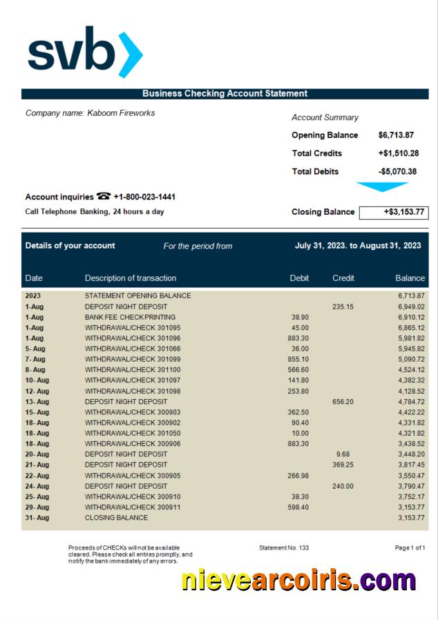 Premium SVB Bank Firm Statement Word And PDF Template