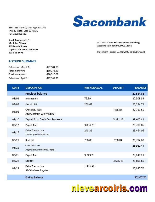 Realistic Sacombank Organization Checking Account Statement Word And PDF Template