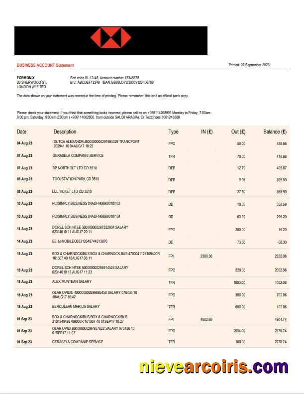 Realistic Saudi British Bank Business Statement Word And PDF Template