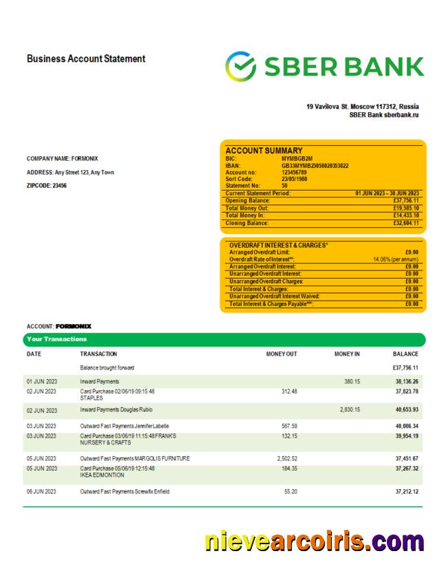 Editable Sberbank Bank Enterprise Checking Account Statement Word And PDF Template