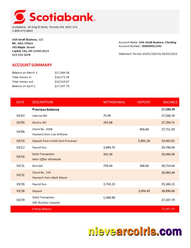 Professional Scotiabank Bank Organization Statement Word And PDF Template