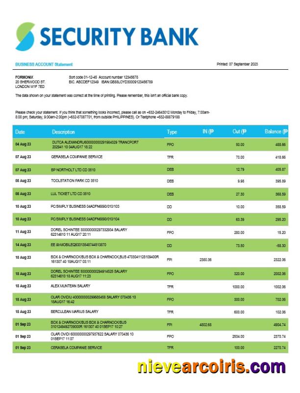 Realistic Security Bank Firm Account Statement Word And PDF Template