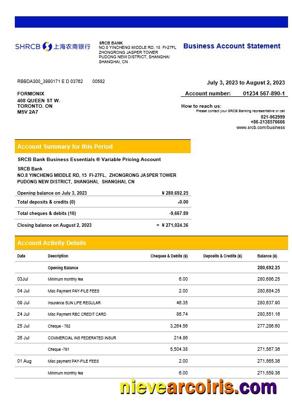 Premium Shanghai Rural Commercial Bank Enterprise Statement Word And PDF Template