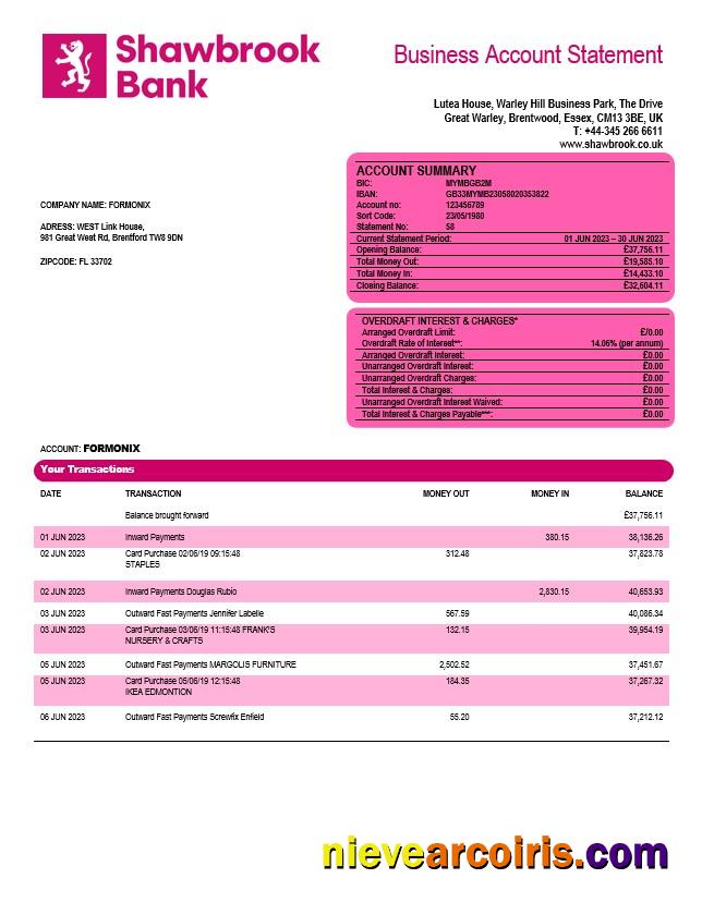 Professional Shawbrook Group Enterprise Account Statement Word And PDF Template