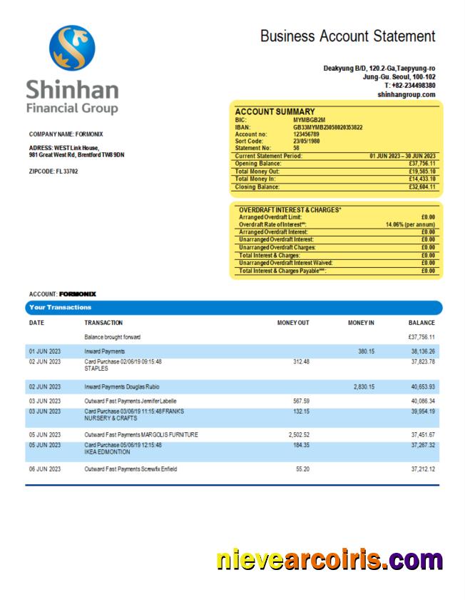 Realistic Shinhan Financial Group Enterprise Statement Word And PDF Template
