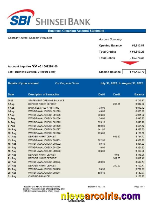 Editable Shinsei Bank Business Statement Word And PDF Template