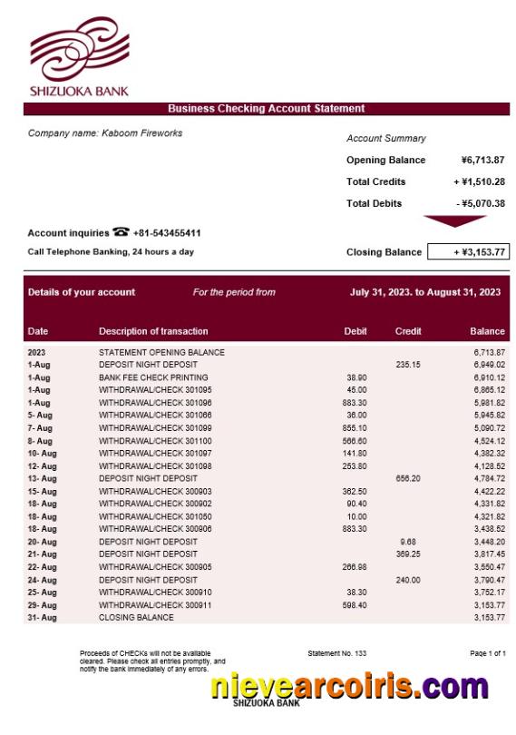 Realistic Shizuoka Bank Organization Checking Account Statement Word And PDF Template