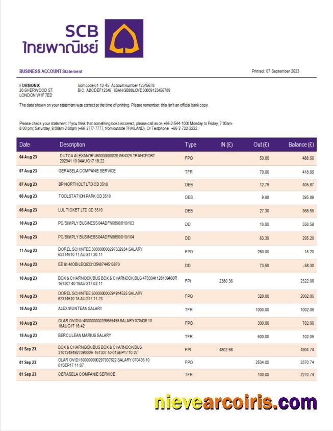 Realistic Siam Commercial Bank Enterprise Account Statement Word And PDF Template