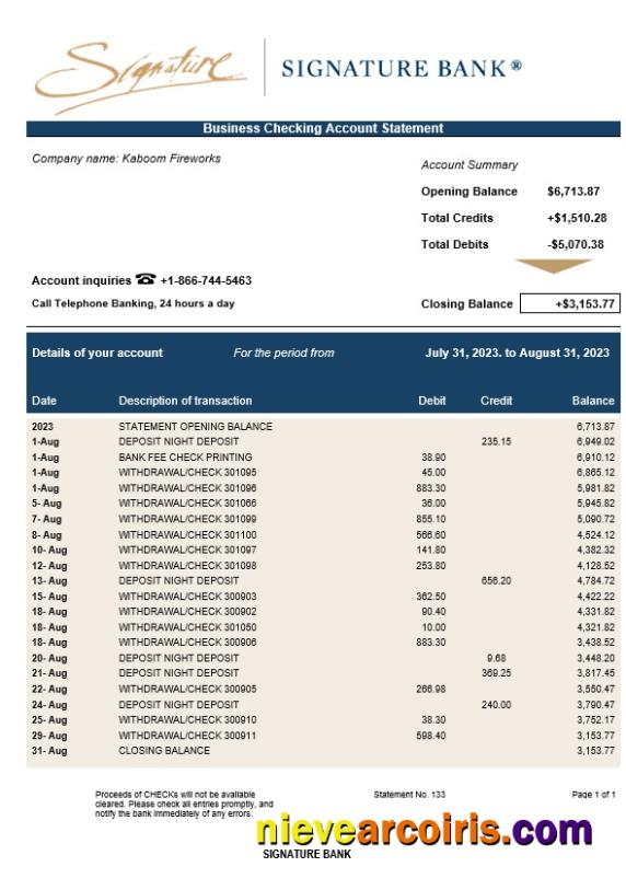 Editable Signature Bank Enterprise Statement Word And PDF Template