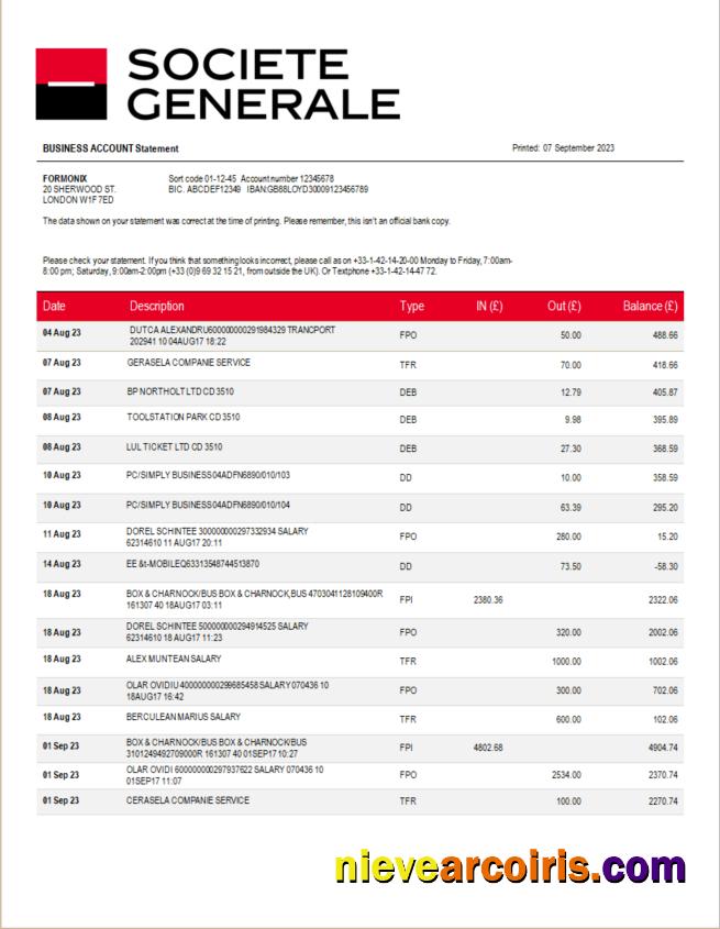 Premium Societe Generale Bank Firm Account Statement Word And PDF Template