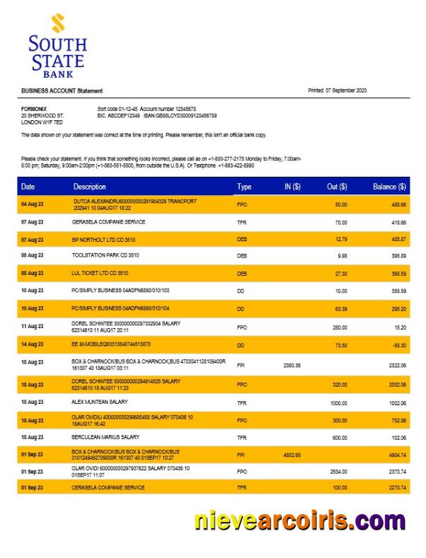 Editable South State Bank Company Statement Word And PDF Template