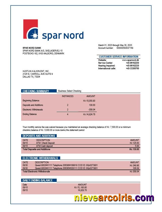 Premium Spar Nord Bank Company Checking Account Statement Word And PDF Template