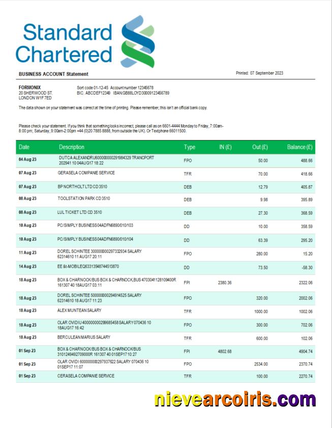 Professional Standard Chartered Bank Company Account Statement Word And PDF Template
