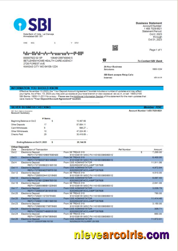 Professional State Bank Of India Company Account Statement Word And PDF Template