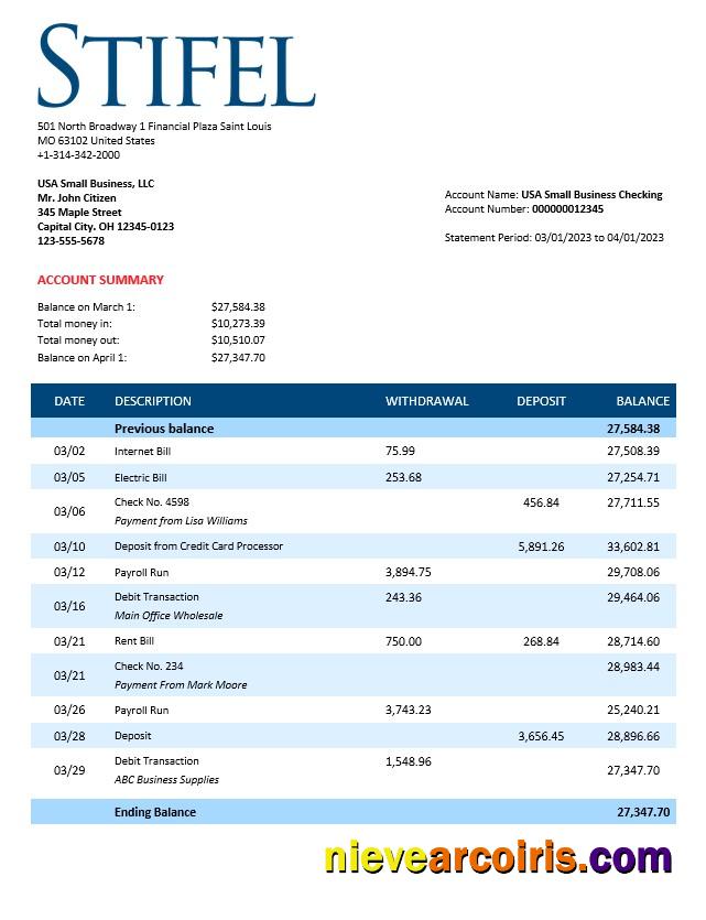 Professional Stifel Financial Bank Firm Statement Word And PDF Template