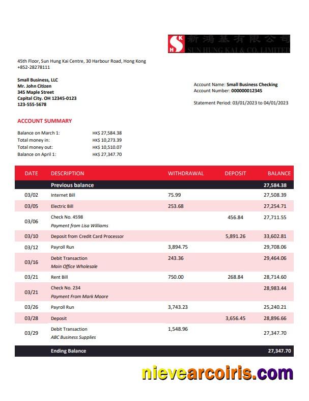 Professional Sung Hung Kai Bank Company Account Statement Word And PDF Template